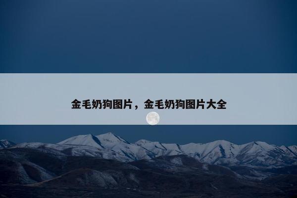 金毛奶狗图片,金毛奶狗图片大全