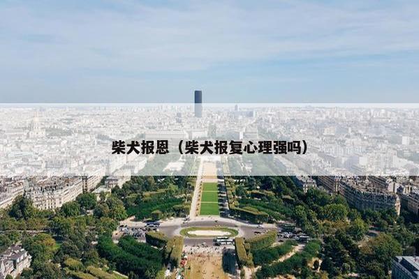 柴犬报恩（柴犬报复心理强吗）