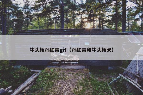 牛头梗孙红雷gif（孙红雷和牛头梗犬）