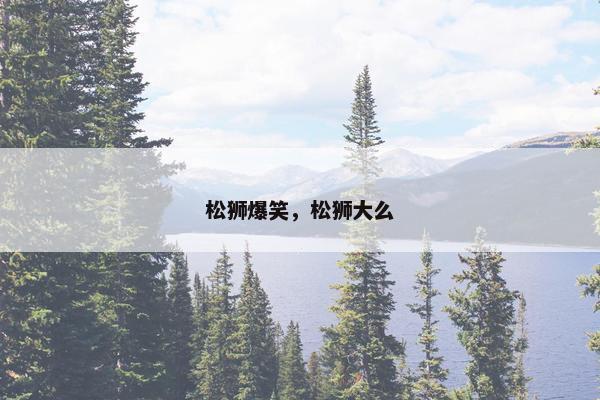 松狮爆笑，松狮大么