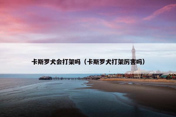 卡斯罗犬会打架吗（卡斯罗犬打架厉害吗）