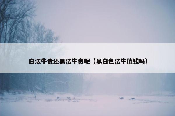 白法牛贵还黑法牛贵呢（黑白色法牛值钱吗）