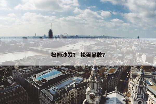松狮沙发？ 松狮品牌？