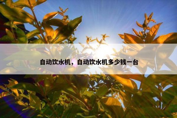 自动饮水机，自动饮水机多少钱一台