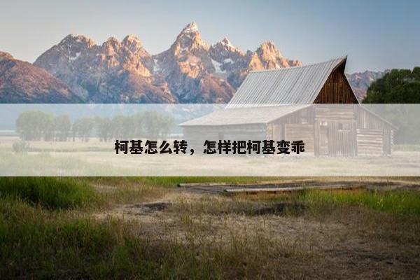 柯基怎么转，怎样把柯基变乖