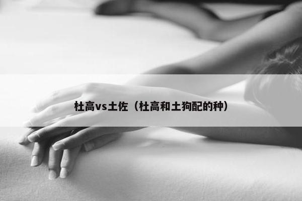 杜高vs土佐（杜高和土狗配的种）