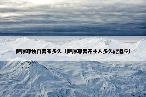 萨摩耶独自离家多久（萨摩耶离开主人多久能适应）