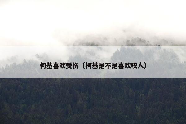 柯基喜欢受伤（柯基是不是喜欢咬人）