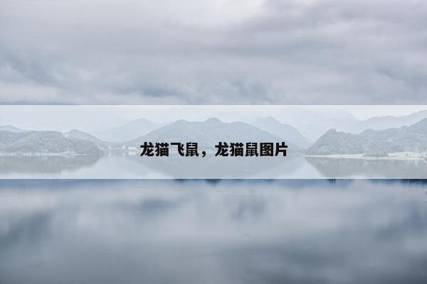 龙猫飞鼠，龙猫鼠图片