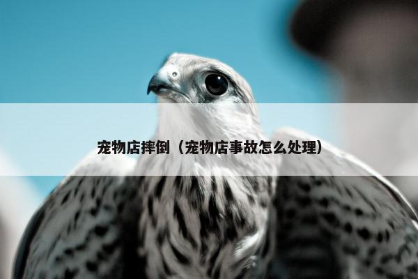 宠物店摔倒（宠物店事故怎么处理）