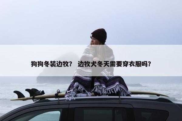 狗狗冬装边牧？ 边牧犬冬天需要穿衣服吗？