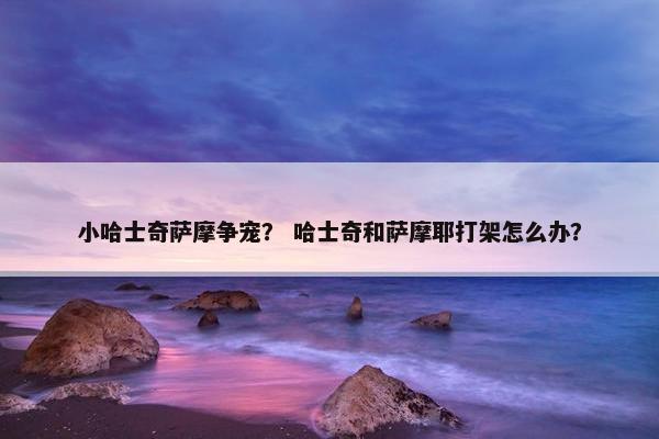 小哈士奇萨摩争宠？ 哈士奇和萨摩耶打架怎么办？