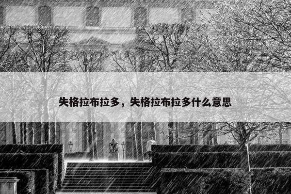 失格拉布拉多，失格拉布拉多什么意思