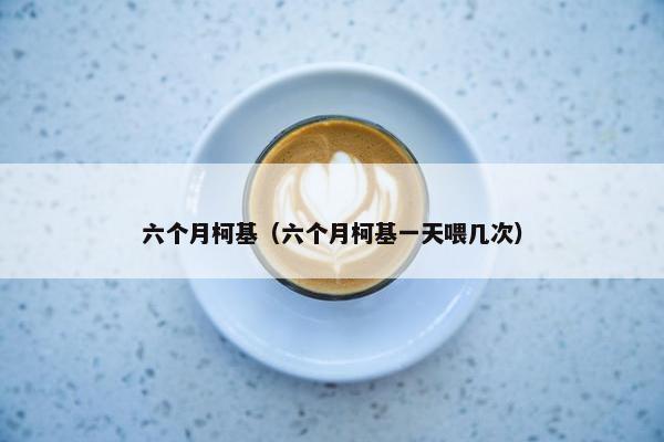 六个月柯基（六个月柯基一天喂几次）