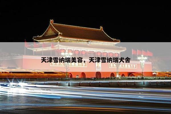 天津雪纳瑞美容，天津雪纳瑞犬舍