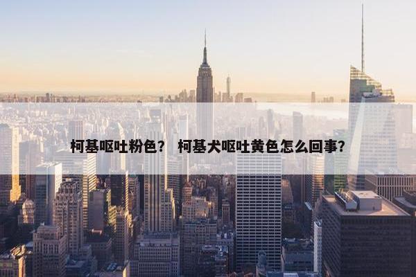 柯基呕吐粉色？ 柯基犬呕吐黄色怎么回事？