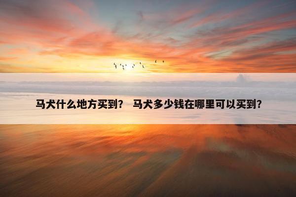 马犬什么地方买到？ 马犬多少钱在哪里可以买到？