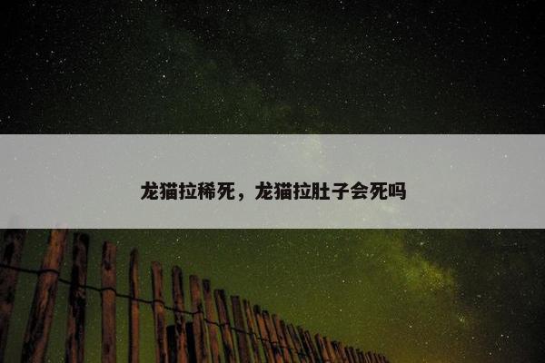 龙猫拉稀死，龙猫拉肚子会死吗