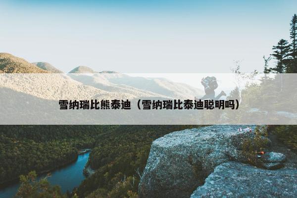 雪纳瑞比熊泰迪（雪纳瑞比泰迪聪明吗）
