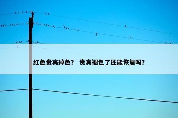 红色贵宾掉色？ 贵宾褪色了还能恢复吗？