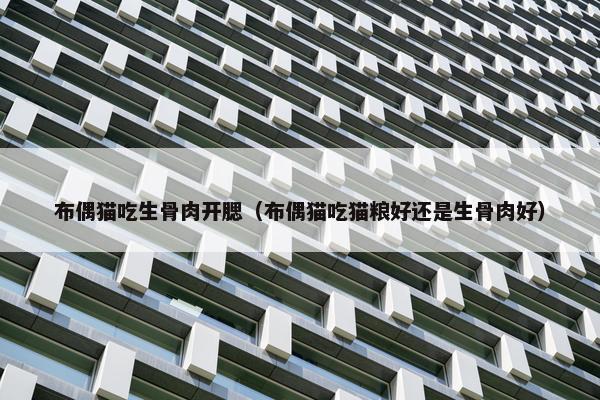布偶猫吃生骨肉开腮(布偶猫吃猫粮好还是生骨肉好) 布偶猫吃生骨肉开腮(布偶猫吃猫粮好还是生骨肉好)