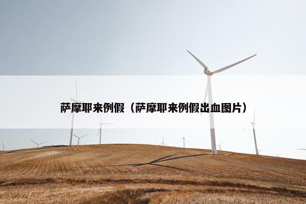 萨摩耶来例假（萨摩耶来例假出血图片）