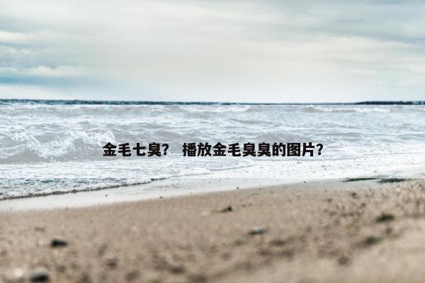 金毛七臭？ 播放金毛臭臭的图片？