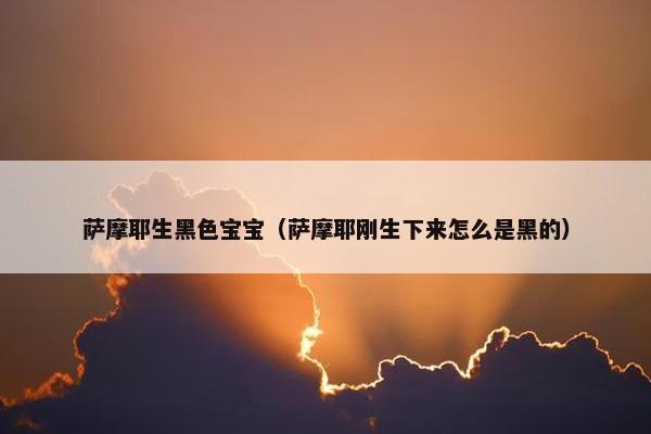 萨摩耶生黑色宝宝（萨摩耶刚生下来怎么是黑的）