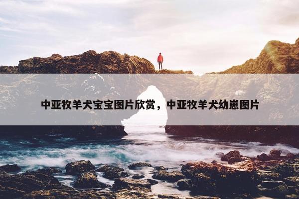 中亚牧羊犬宝宝图片欣赏，中亚牧羊犬幼崽图片