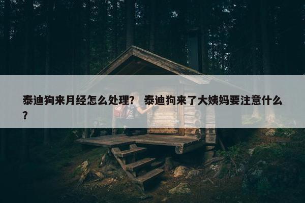 泰迪狗来月经怎么处理？ 泰迪狗来了大姨妈要注意什么？