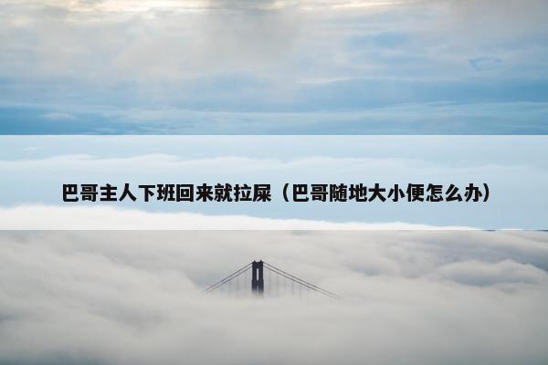 巴哥主人下班回来就拉屎（巴哥随地大小便怎么办）