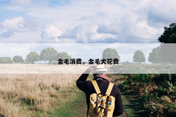 金毛消费，金毛犬花费