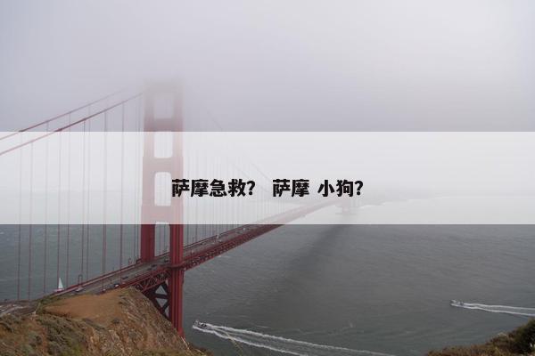 萨摩急救？ 萨摩 小狗？