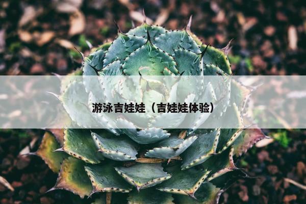 游泳吉娃娃（吉娃娃体验）