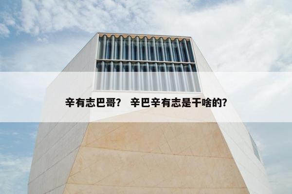 辛有志巴哥？ 辛巴辛有志是干啥的？