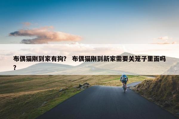 布偶猫刚到家有狗？ 布偶猫刚到新家需要关笼子里面吗？