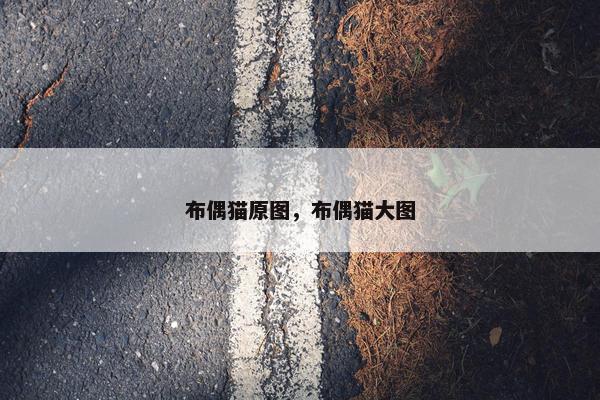 布偶猫原图，布偶猫大图