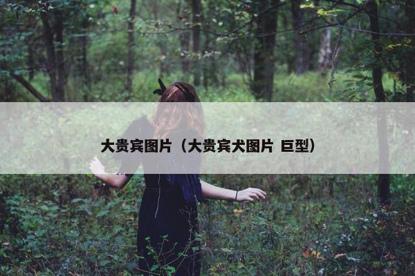 大贵宾图片（大贵宾犬图片 巨型）