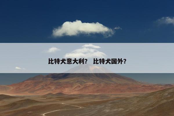 比特犬意大利？ 比特犬国外？