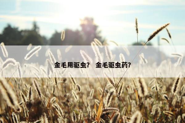 金毛用驱虫？ 金毛驱虫药？
