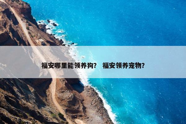 福安哪里能领养狗？ 福安领养宠物？