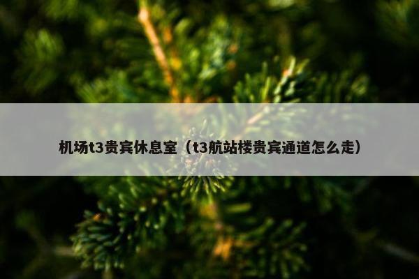 机场t3贵宾休息室（t3航站楼贵宾通道怎么走）