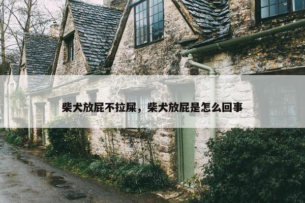 柴犬放屁不拉屎，柴犬放屁是怎么回事