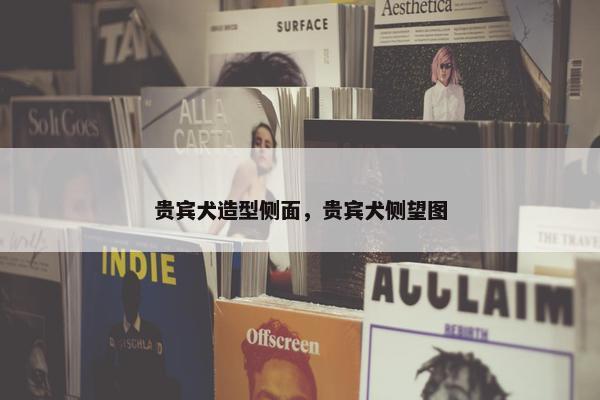 贵宾犬造型侧面，贵宾犬侧望图