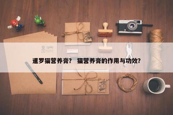 暹罗猫营养膏？ 猫营养膏的作用与功效？