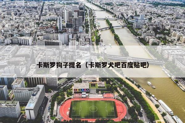 卡斯罗狗子提名（卡斯罗犬吧百度贴吧）
