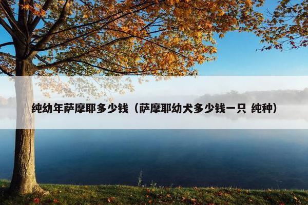 纯幼年萨摩耶多少钱（萨摩耶幼犬多少钱一只 纯种）