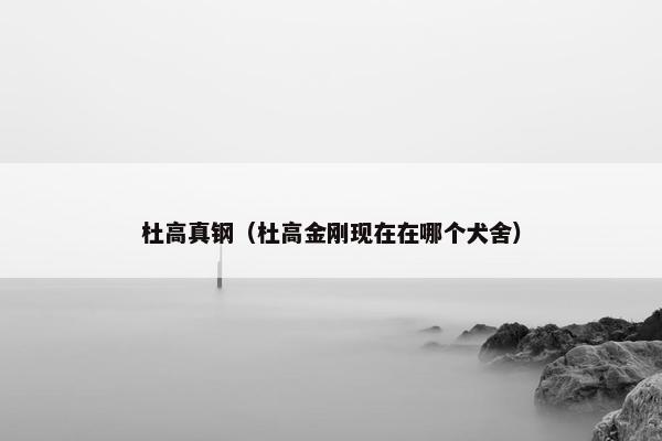 杜高真钢（杜高金刚现在在哪个犬舍）