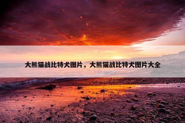 大熊猫战比特犬图片，大熊猫战比特犬图片大全