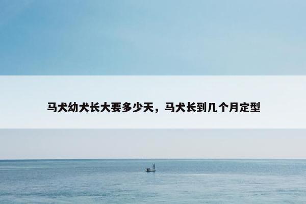 马犬幼犬长大要多少天，马犬长到几个月定型
